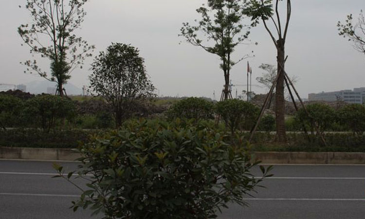 华盛达阅城配套图-小柯网