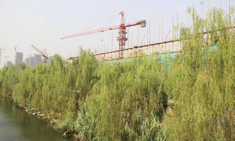 大家.运河之星