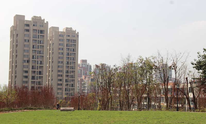 赞成.乐山红叶实景图-小柯网