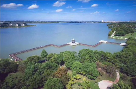 上置香岛琥珀棠实景图-小柯网