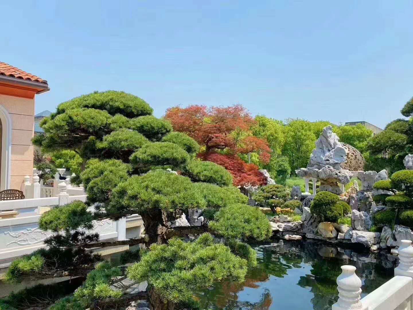 嘉兴新梅里达绿园实景图-小柯网