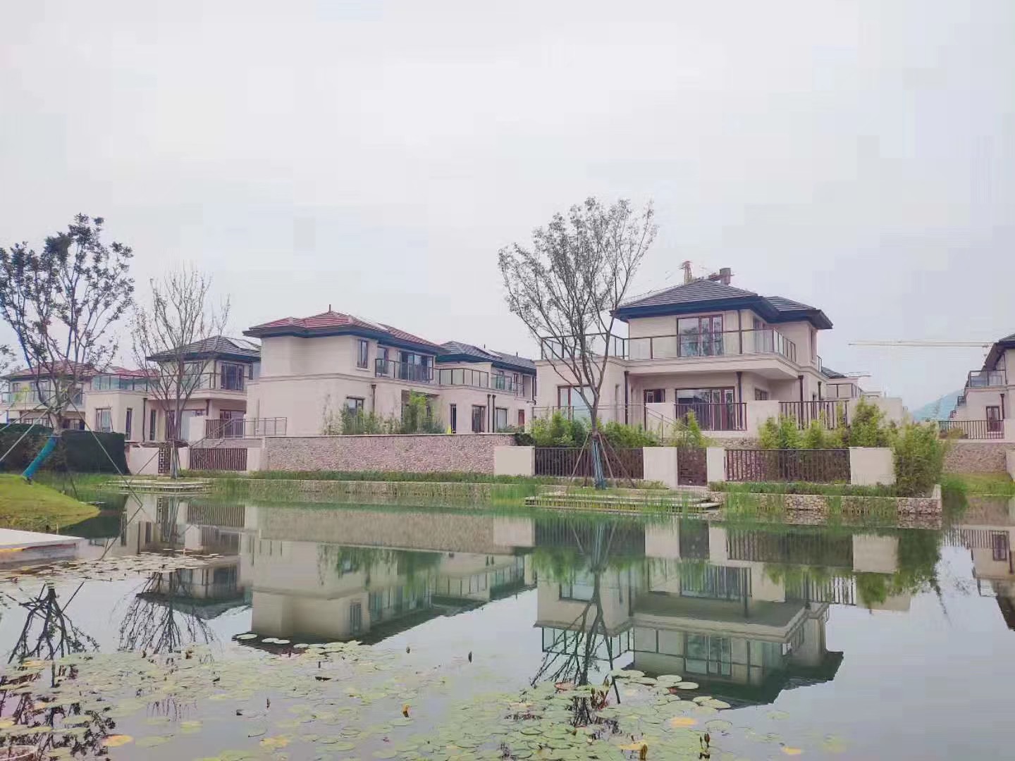 滨湖雅苑实景图-小柯网