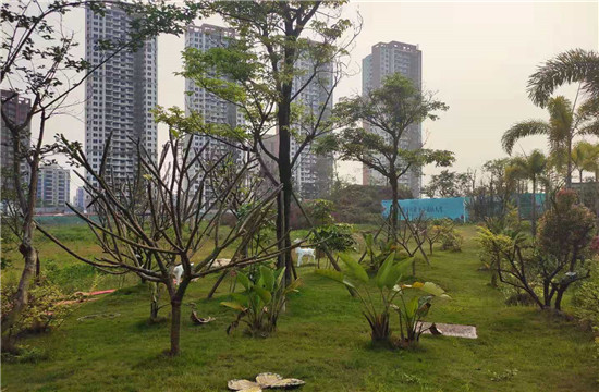 中昂翠屿湖实景图-小柯网