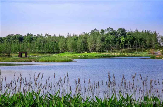 聚亿天府锦城实景图-小柯网