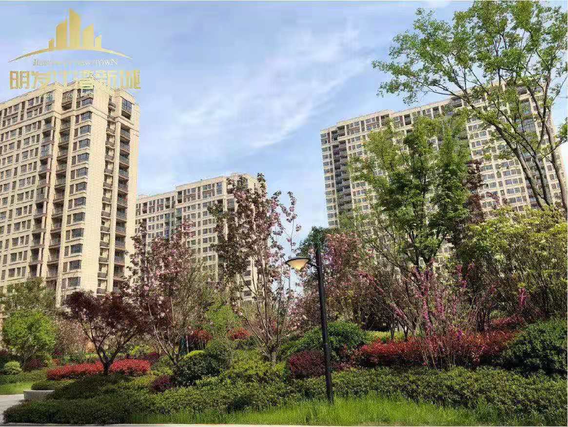 明发又一城实景图-小柯网