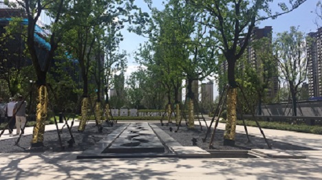 金鹏风华北宸实景图-小柯网