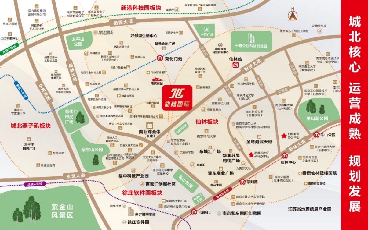 仙林国际交通图-小柯网