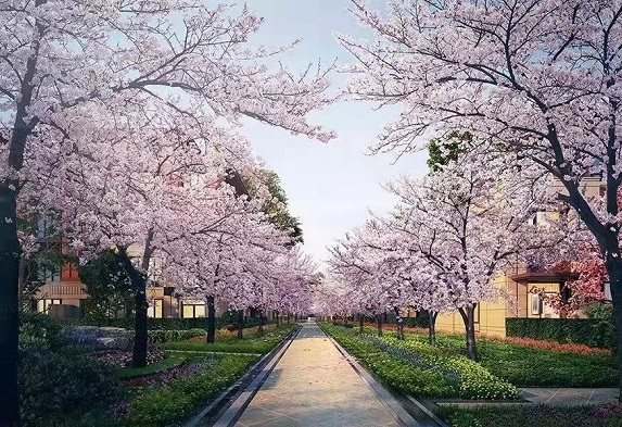 栖樾府实景图-小柯网