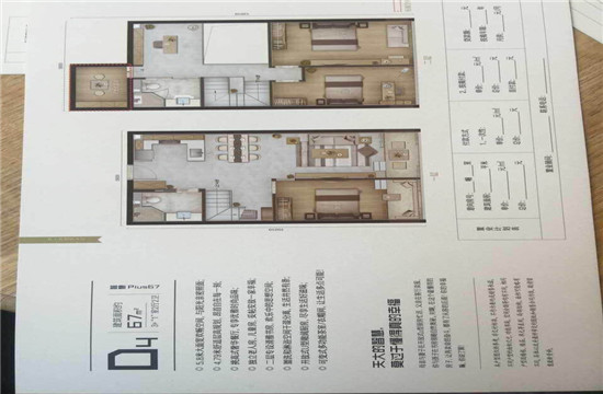 西溪飞鸟客D4户型户型图