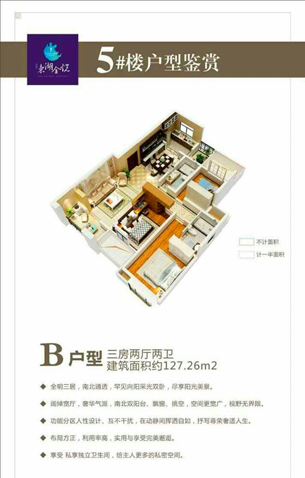 东湖金悦户型B户型图