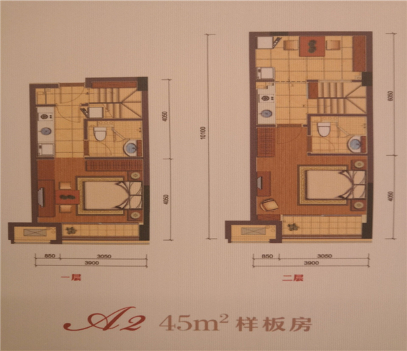 滨江同协金座户型,B户型