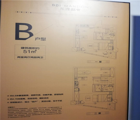 东渡酩悦户型,B户型