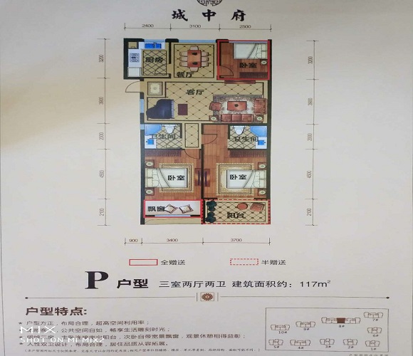 临安城中府户型C户型图