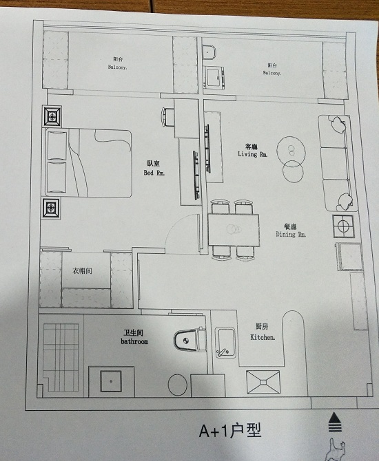 碧浪湖公馆户型,A+户型