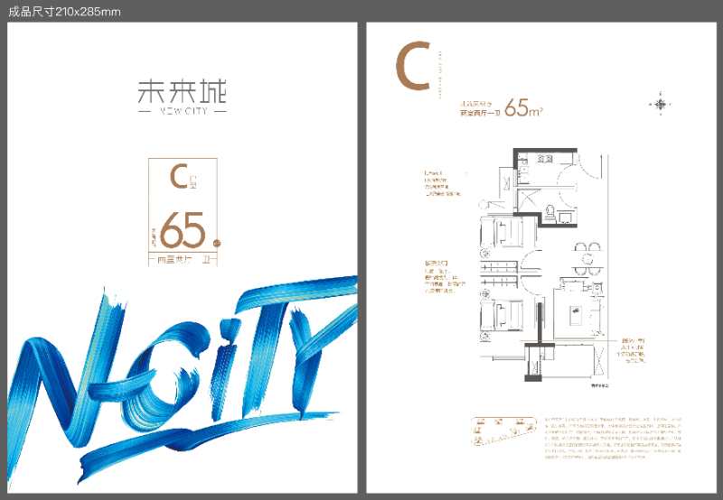 嘉善未来城户型,C