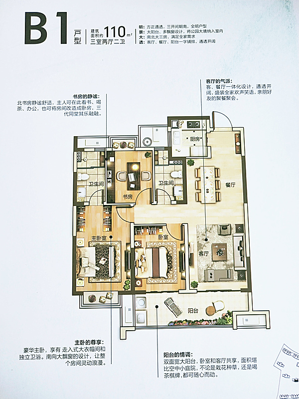 新力帝泊湾户型