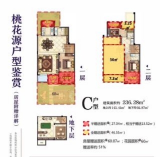 朗臻桃花源C户型下叠排户型图