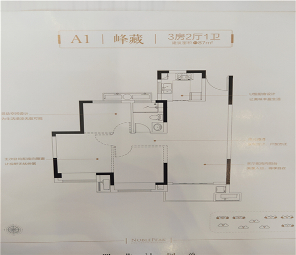 合景尚峰户型,A1户型