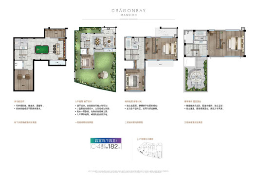 骏宏龙湾府C4户型图