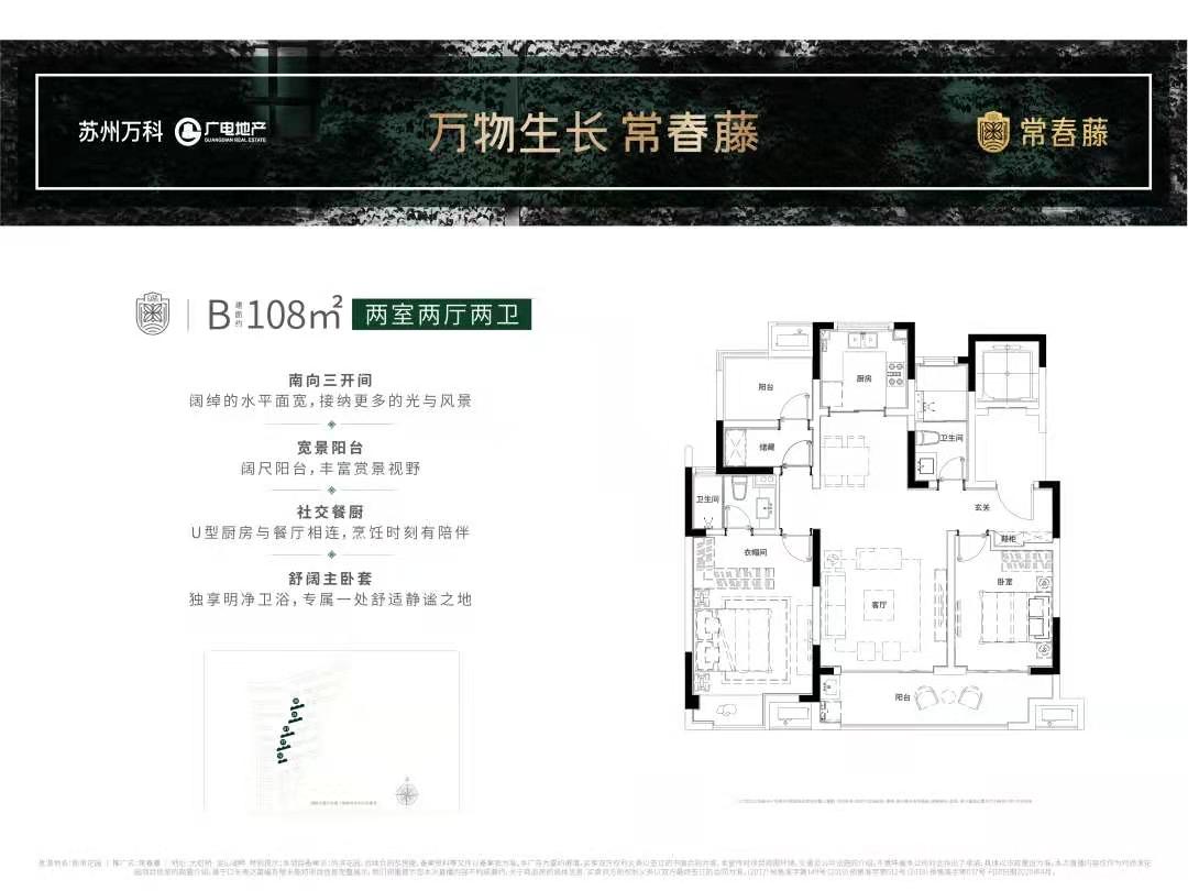 万科常春藤B户型户型图