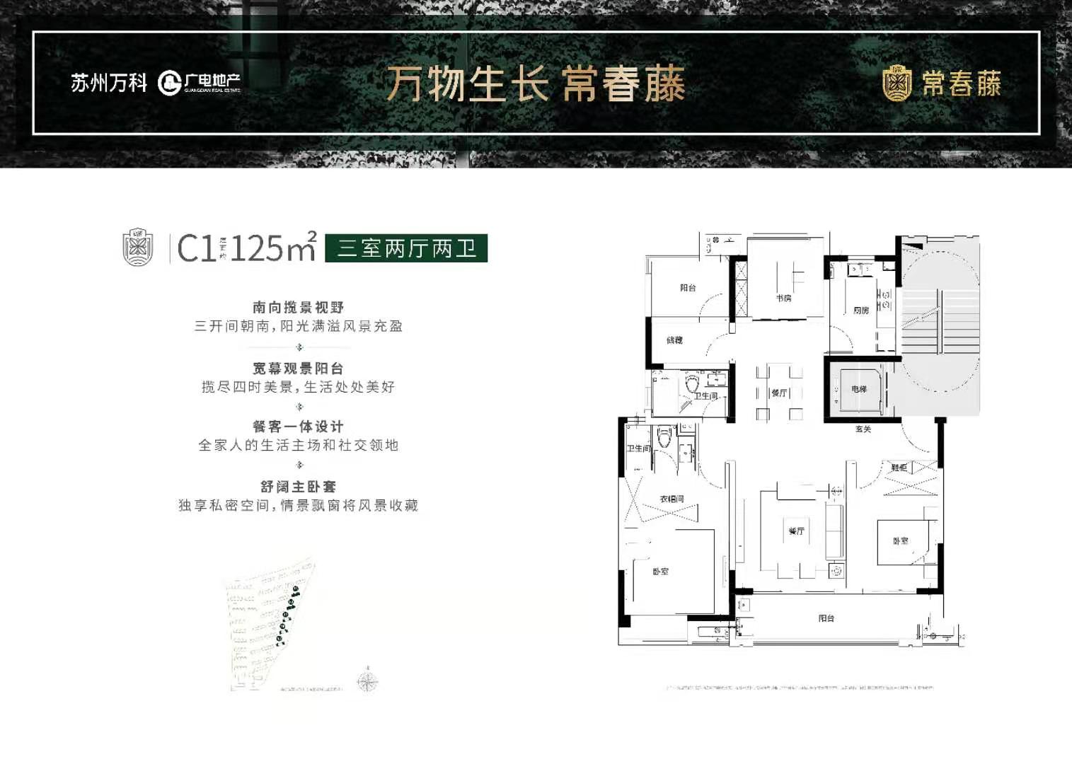 万科常春藤C户型户型图