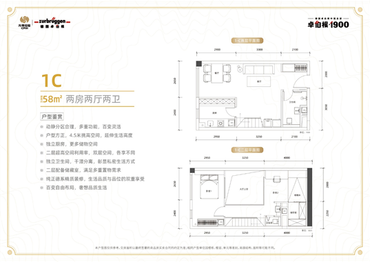 卓伯根1900户型-小柯网