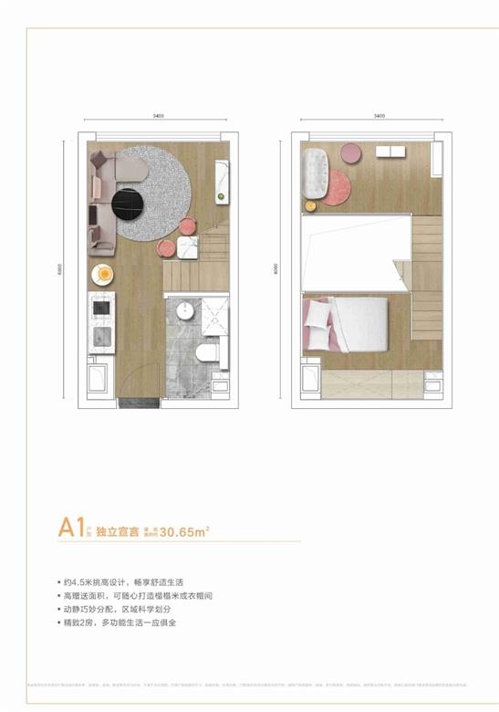 力高凤凰新天户型