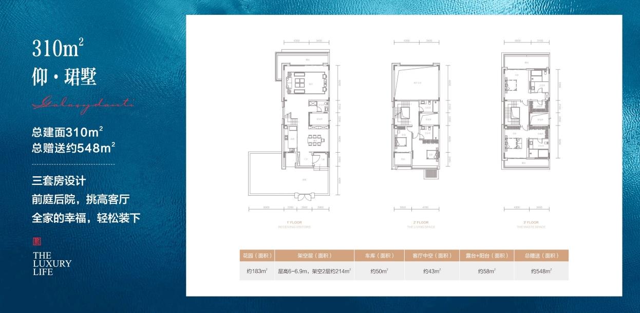 星河丹堤别墅户型,310平户型