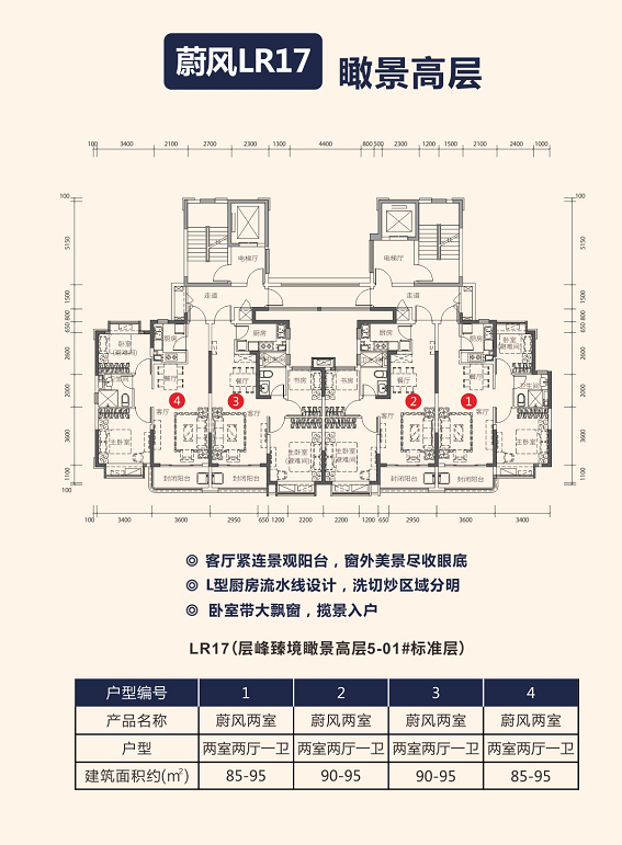 梓山湖恒大养生谷户型,蔚风LR17