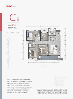 万科钱塘东方C户型户型图