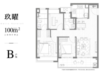 玖华府户型,100平