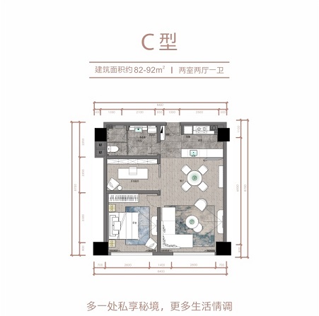 桐梓林C户型户型图