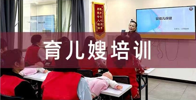 育儿嫂培训